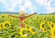 donna in mezzo ad un prato di girasoli