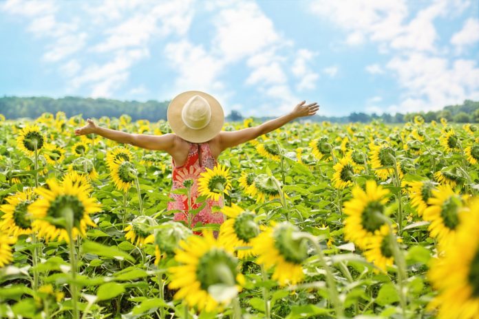 donna in mezzo ad un prato di girasoli