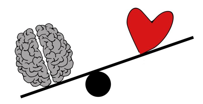 disegno cuore e cervello