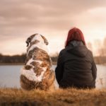 cane e padrone che guardano il mare