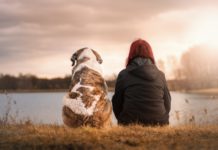 cane e padrone che guardano il mare