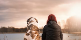 cane e padrone che guardano il mare