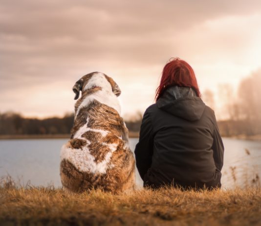 cane e padrone che guardano il mare