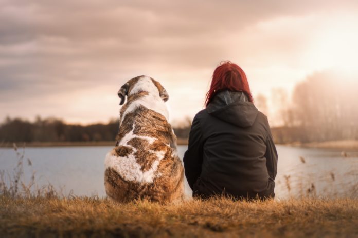 cane e padrone che guardano il mare