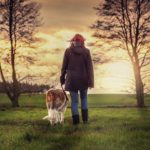 cane e padrone sul prato
