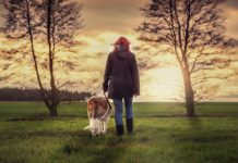 cane e padrone sul prato