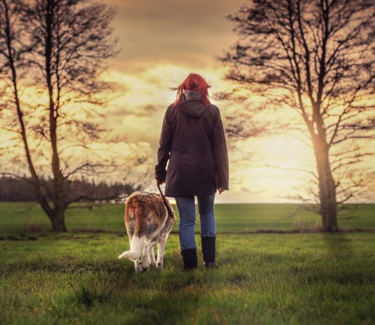 cane e padrone sul prato