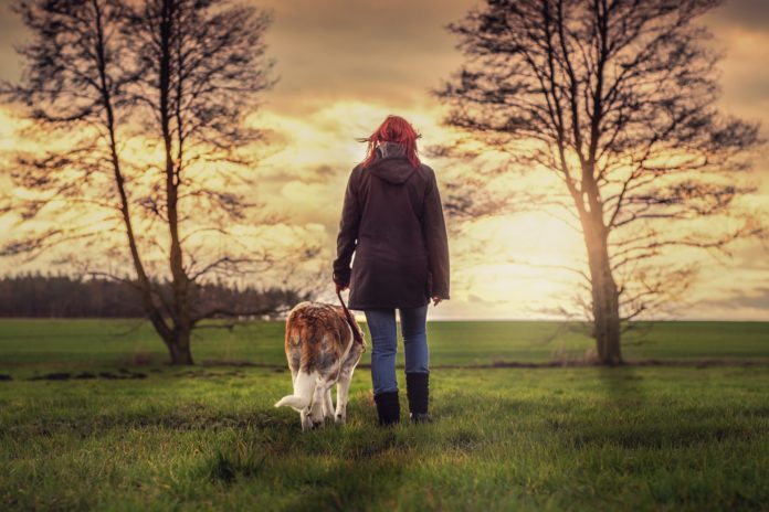 cane e padrone sul prato