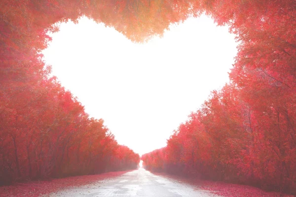 Strada circondata da alberi rossi che formano la sagoma luminosa di un cuore al centro.